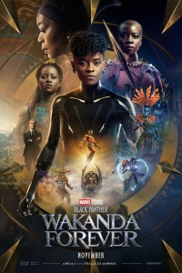 Download Black Panther: Wakanda Forever (2022) Dual Audio [Hindi ORG-English] WEB-DL || 1080p [2.8GB] || 720p [1.4GB] || 480p [550MB] || ESubs